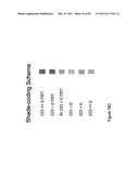 REAL TIME ELECTRONIC CELL SENSING SYSTEM AND APPLICATIONS FOR CYTOTOXICITY PROFILING AND COMPOUND ASSAYS diagram and image