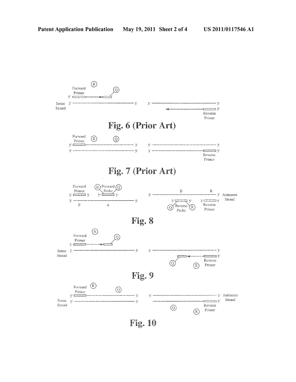 INCREASE OF SIGNAL SENSITIVITY USING DUAL PROBES IN PCR REACTIONS - diagram, schematic, and image 03