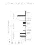 INCREASE OF SIGNAL SENSITIVITY USING DUAL PROBES IN PCR REACTIONS diagram and image