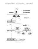 HIGH-SENSITIVE FLUORESCENT ENERGY TRANSFER ASSAY USING FLUORESCENT AMINO ACIDS AND FLUORESENT PROTEINS diagram and image