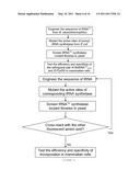 HIGH-SENSITIVE FLUORESCENT ENERGY TRANSFER ASSAY USING FLUORESCENT AMINO ACIDS AND FLUORESENT PROTEINS diagram and image