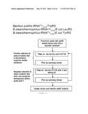 HIGH-SENSITIVE FLUORESCENT ENERGY TRANSFER ASSAY USING FLUORESCENT AMINO ACIDS AND FLUORESENT PROTEINS diagram and image