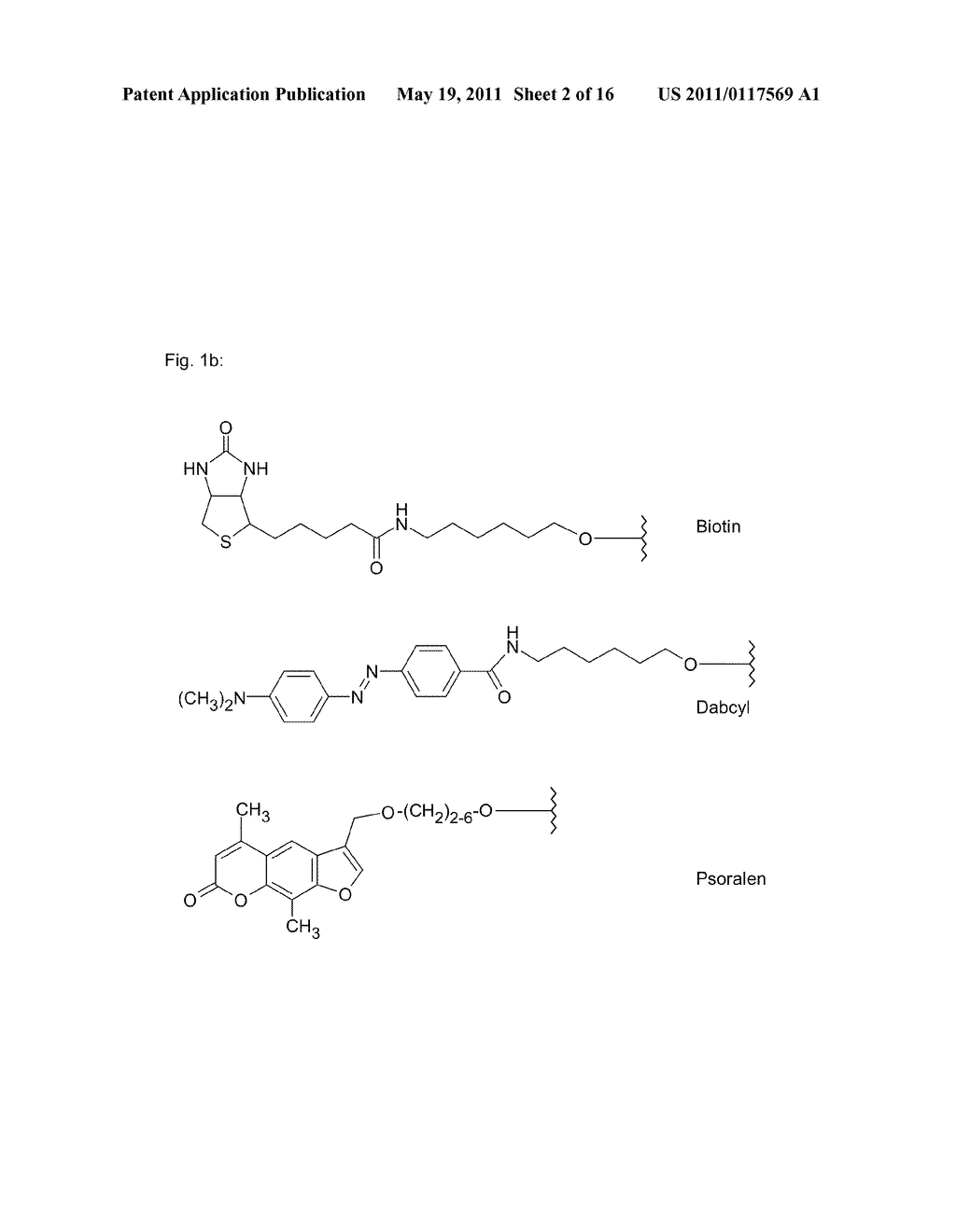 POLYMIDE NUCLEIC ACID DERIVATIVES, AND AGENTS AND PROCESSES FOR PREPARING THEM - diagram, schematic, and image 03
