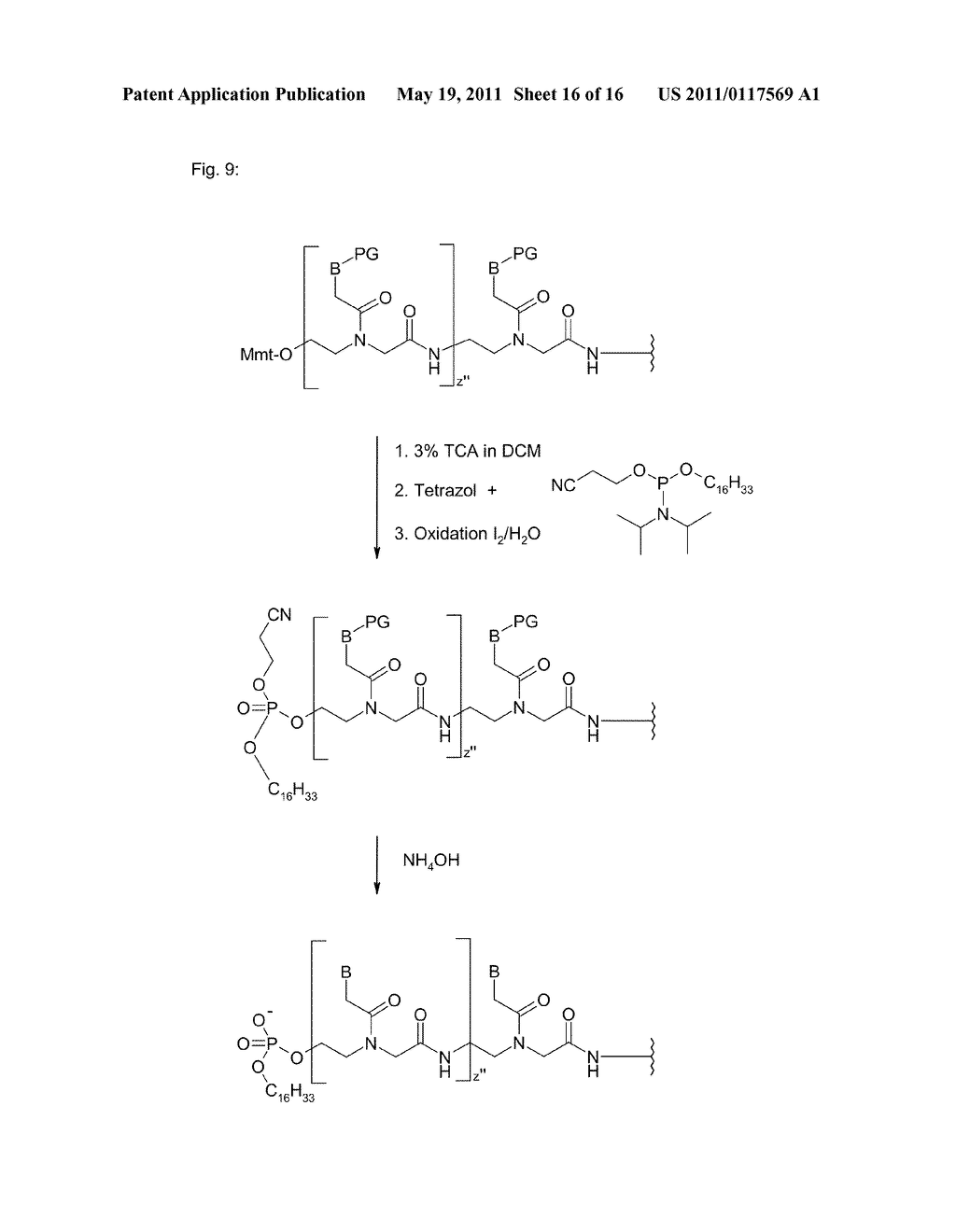 POLYMIDE NUCLEIC ACID DERIVATIVES, AND AGENTS AND PROCESSES FOR PREPARING THEM - diagram, schematic, and image 17