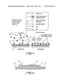 REDUCING LEUKOCYTE INTERFERENCE IN NON-COMPETITIVE IMMUNOASSAYS diagram and image