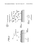 REDUCING LEUKOCYTE INTERFERENCE IN NON-COMPETITIVE IMMUNOASSAYS diagram and image