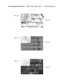 MULTI-BIOMARKER BIOSENSOR diagram and image