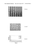 MULTI-BIOMARKER BIOSENSOR diagram and image