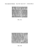 MULTI-BIOMARKER BIOSENSOR diagram and image