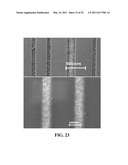 MULTI-BIOMARKER BIOSENSOR diagram and image