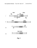 ARTIFICIAL ENTROPIC BRISTLE DOMAIN SEQUENCES AND THEIR USE IN RECOMBINANT PROTEIN PRODUCTION diagram and image