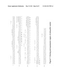 ARTIFICIAL ENTROPIC BRISTLE DOMAIN SEQUENCES AND THEIR USE IN RECOMBINANT PROTEIN PRODUCTION diagram and image