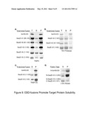 ARTIFICIAL ENTROPIC BRISTLE DOMAIN SEQUENCES AND THEIR USE IN RECOMBINANT PROTEIN PRODUCTION diagram and image