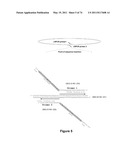 DOUBLE-STRANDED NUCLEIC ACID diagram and image