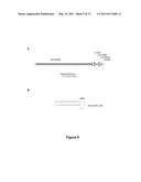 DOUBLE-STRANDED NUCLEIC ACID diagram and image