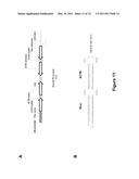 DOUBLE-STRANDED NUCLEIC ACID diagram and image