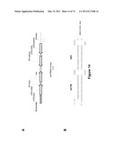 DOUBLE-STRANDED NUCLEIC ACID diagram and image