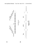 DOUBLE-STRANDED NUCLEIC ACID diagram and image