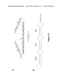 DOUBLE-STRANDED NUCLEIC ACID diagram and image