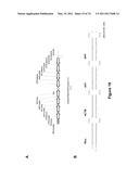 DOUBLE-STRANDED NUCLEIC ACID diagram and image