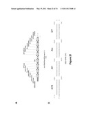 DOUBLE-STRANDED NUCLEIC ACID diagram and image