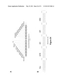 DOUBLE-STRANDED NUCLEIC ACID diagram and image