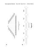 DOUBLE-STRANDED NUCLEIC ACID diagram and image