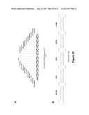 DOUBLE-STRANDED NUCLEIC ACID diagram and image