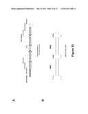 DOUBLE-STRANDED NUCLEIC ACID diagram and image