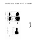 DOUBLE-STRANDED NUCLEIC ACID diagram and image