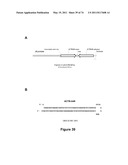 DOUBLE-STRANDED NUCLEIC ACID diagram and image