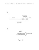 DOUBLE-STRANDED NUCLEIC ACID diagram and image