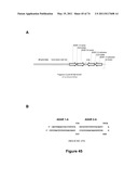 DOUBLE-STRANDED NUCLEIC ACID diagram and image