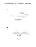 DOUBLE-STRANDED NUCLEIC ACID diagram and image