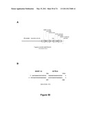 DOUBLE-STRANDED NUCLEIC ACID diagram and image