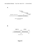 DOUBLE-STRANDED NUCLEIC ACID diagram and image