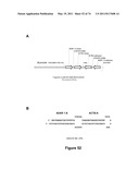 DOUBLE-STRANDED NUCLEIC ACID diagram and image