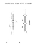 DOUBLE-STRANDED NUCLEIC ACID diagram and image