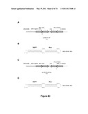 DOUBLE-STRANDED NUCLEIC ACID diagram and image