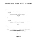 DOUBLE-STRANDED NUCLEIC ACID diagram and image