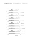 DOUBLE-STRANDED NUCLEIC ACID diagram and image