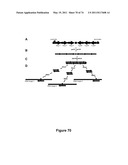 DOUBLE-STRANDED NUCLEIC ACID diagram and image