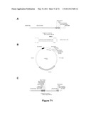 DOUBLE-STRANDED NUCLEIC ACID diagram and image