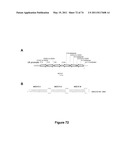 DOUBLE-STRANDED NUCLEIC ACID diagram and image