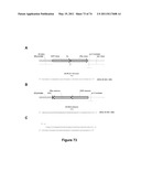 DOUBLE-STRANDED NUCLEIC ACID diagram and image