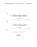 DOUBLE-STRANDED NUCLEIC ACID diagram and image