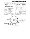 CORYNEFORM BACTERIUM TRANSFORMANT HAVING IMPROVED D-XYLOSE-UTILIZING ABILITY diagram and image