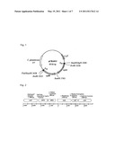 CORYNEFORM BACTERIUM TRANSFORMANT HAVING IMPROVED D-XYLOSE-UTILIZING ABILITY diagram and image