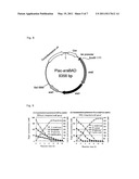 CORYNEFORM BACTERIUM TRANSFORMANT HAVING IMPROVED D-XYLOSE-UTILIZING ABILITY diagram and image