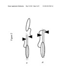 Engineered Nucleases and Their Uses for Nucleic Acid Assembly diagram and image